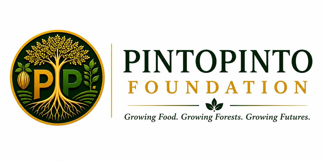 PintoPinto Foundation